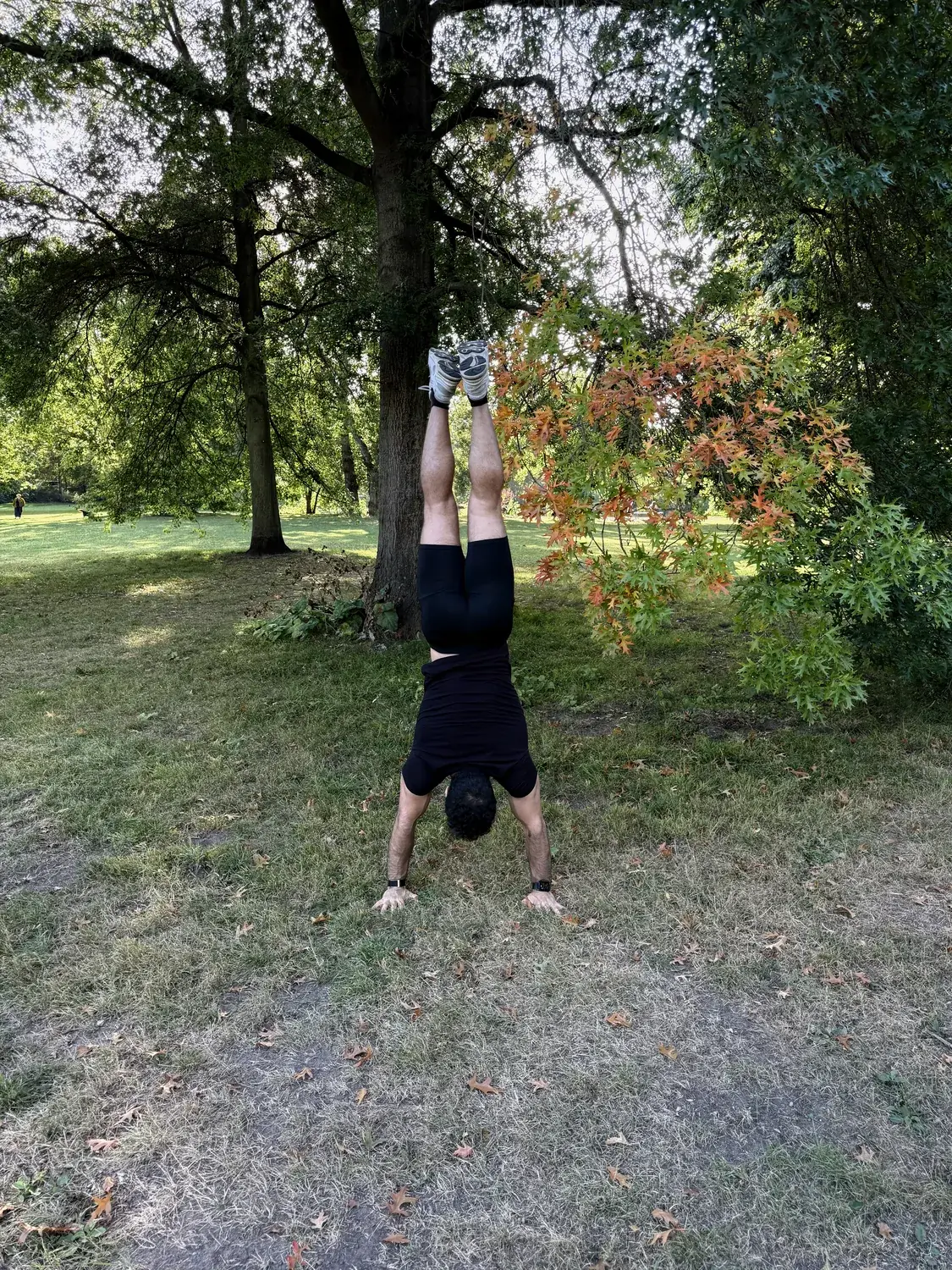 Handstand auf der Wiese in einem Berliner Park, Herbstlaub.